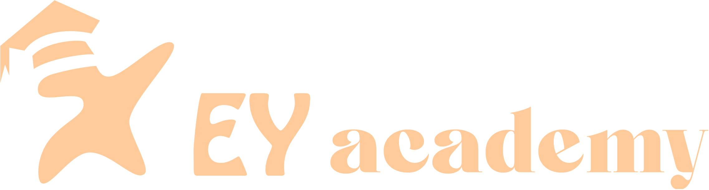 Excel Youth Academy